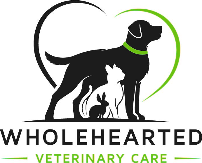 Best Vet Hosp In Grand Rapids | Wholehearted Veterinary Care