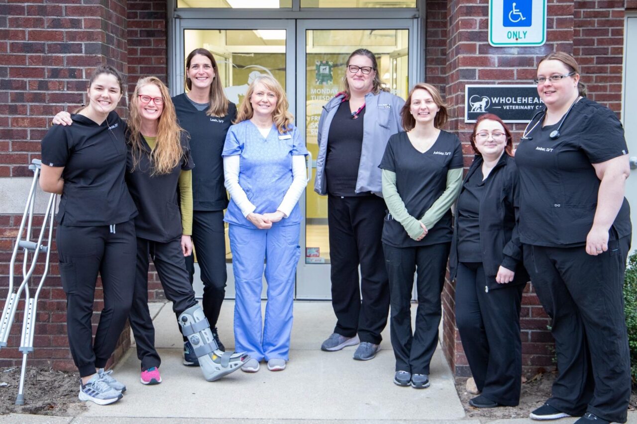 Grand Rapids, MI 49525 Veterinarians Wholehearted Veterinary Care